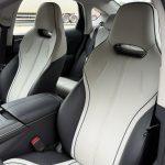 aluguel byd king hibrido